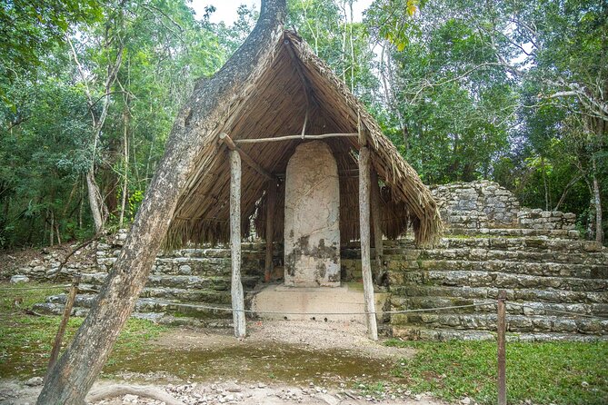 Half a Day Tour to Coba Ruins with Cenote and Mayan Village - Guide and comfort: small group, English, and the bus reality