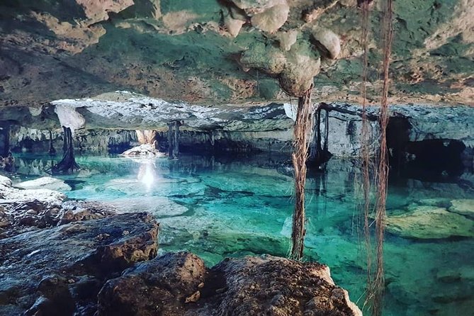 Half day Cave Cenotes Expedition - Stop 2: Sol y Luna Cave Cenote and swimming through stalactites