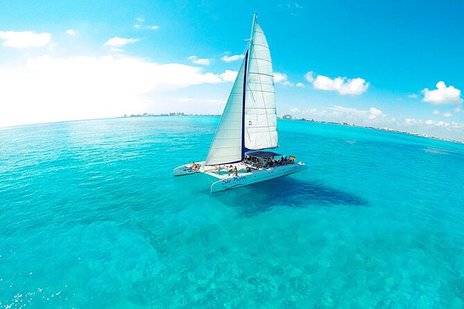 Half Day Luxury Sailing Experience in Riviera Maya with Open Bar - Puerto Aventuras to the Offshore Reef: The sailing part and the wildlife odds