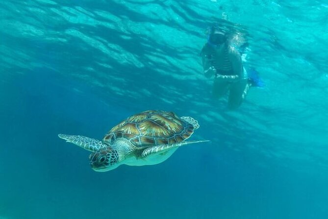 Half Day Luxury Sailing Experience in Riviera Maya with Open Bar - Paddle boarding and swimming: the included activities that make the day feel complete