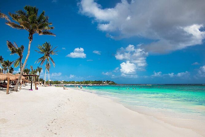 Half Day Private Snorkeling with Turtles and Majestic Cenotes - Included vs. not included: where your real costs show up