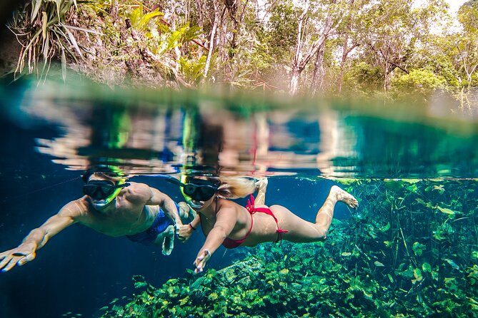Half Day Private Snorkeling with Turtles and Majestic Cenotes - The guide experience: what makes it feel personal
