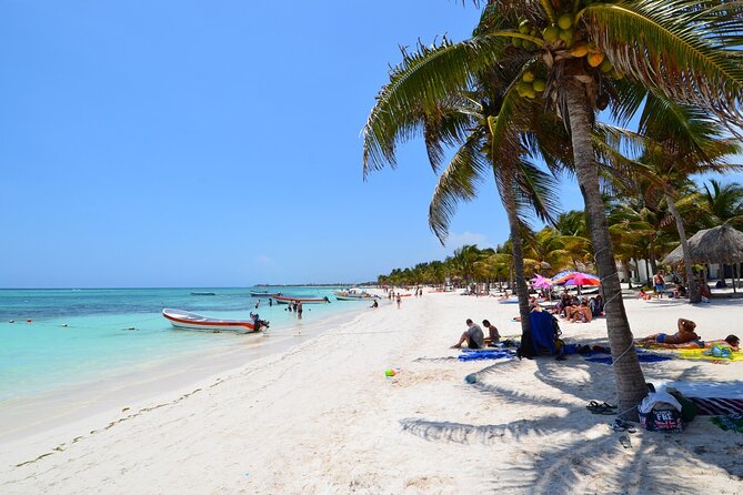 Half Day Private Snorkeling with Turtles and Majestic Cenotes - The 4-hour plan, step by step