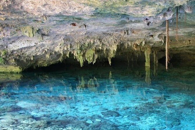 Half Day Semiprivate Snorkeling with Turtles and Majestic Cenote - Maya Adrenaline cenote: clear freshwater, cavern silence, and flashlight storytelling
