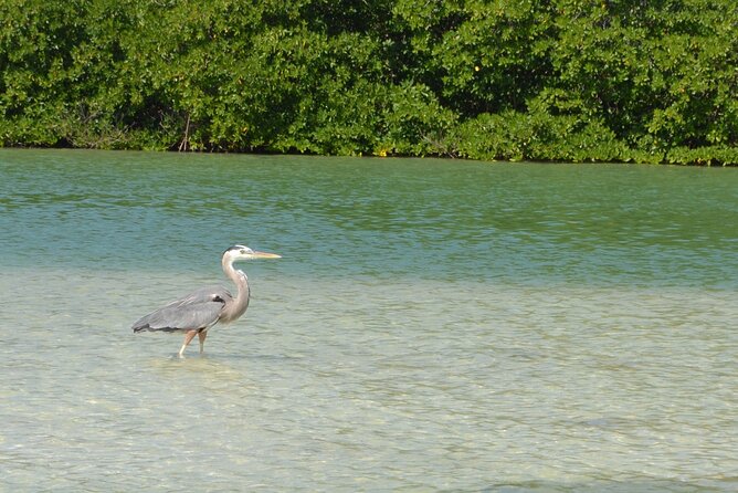 Half-Day Tour Discovering Sian Ka´an with Lunch - Guides and boat captains: why you notice the difference on the water