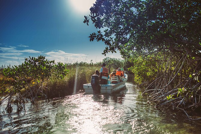 Half-Day Tour Discovering Sian Ka´an with Lunch - Price and value: is $204 a good deal?