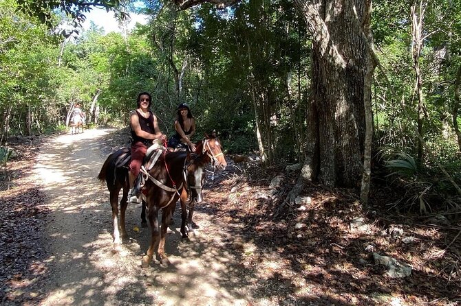 Horse Ride to Cenote Mil Columnas - The Cenote Moment: What to Expect in the Caverns