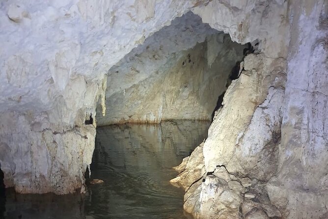 Horse Ride to Cenote Mil Columnas - Price and Value: Is $104.73 Worth It?