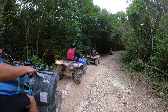 Jungle ATV Adventure: Unveiling Akumal's Enchanting Cenotes - A Secluded Cenote Reserved for Wildlife Watching