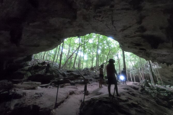 Jungle ATV Adventure: Unveiling Akumal's Enchanting Cenotes - The Sandwich Break and the Ride Back to Tulum