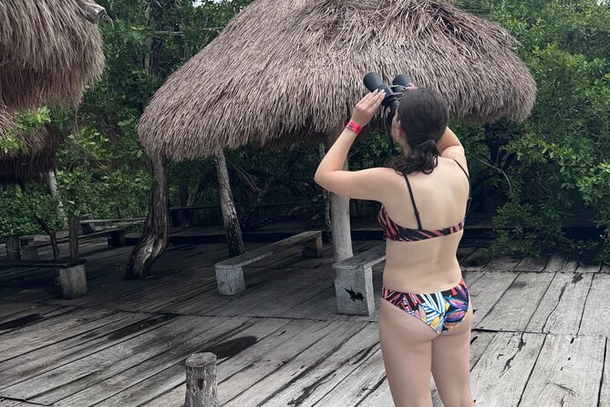 Kaan Luum Lagoon and Cenote Adventure - What to expect in the water (and how to set your expectations)