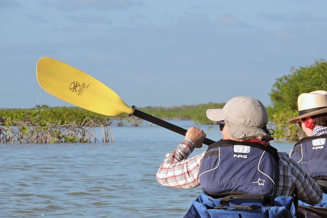 Kayak Sian Ka’an Biosphere Reserve Sunset Tour - What to bring: the essentials that keep the day smooth
