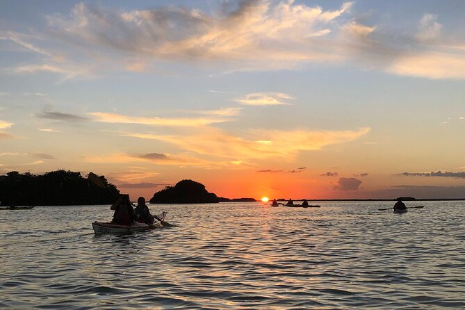 Kayak Sian Ka’an Experience - The route: shallow lagoon, mangroves, and wildlife-focused pacing