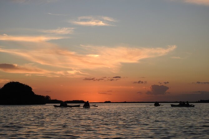 Kayak Sian Ka’an Experience - Price and value: what $150 really buys you