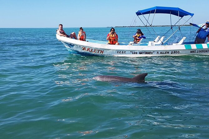 Magic Sian ka'an Deluxe two boats - Guide quality and group size: what “max 12” means on a boat