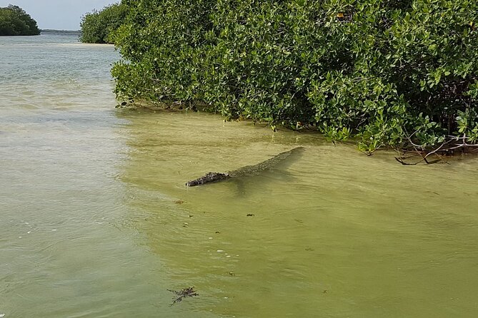 Magic Sian ka'an Deluxe two boats - How long it takes and how to plan your Tulum day