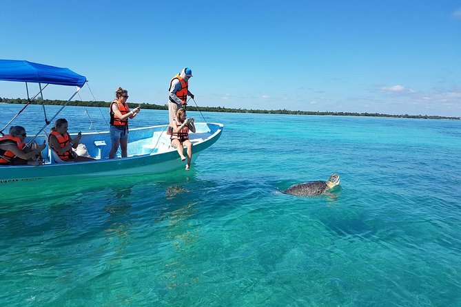 Magic Sian ka'an Deluxe two boats - Punta Allen village + the second boat: dolphins, sea turtles, and reef snorkeling