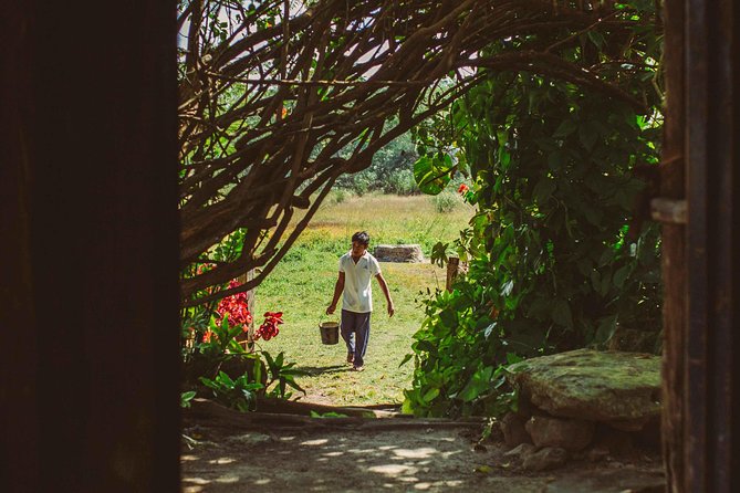 Mayan Backroads Private Bike Tour from Tulum - What $324 buys: gear, entrances, food, and the value math