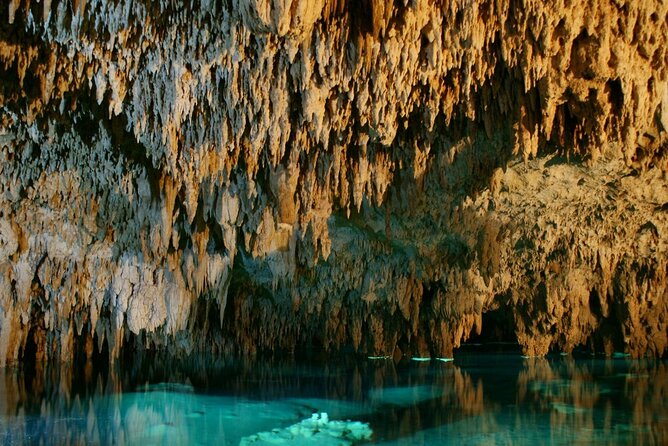 Mystic Adventure Atv and Cenote Experience from Tulum - The zip-line line-up: 5 rides, one into an open cenote