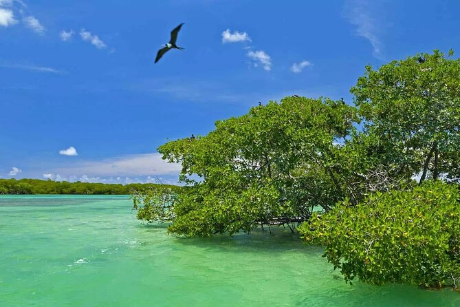 Nature Day, Sian Kaan Biosphere Tour! Round Transportation from Tulum City - Sian Ka’an by boat: what this day is really about