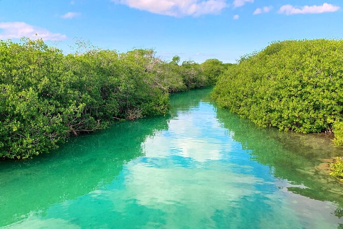 Nature Day, Sian Kaan Biosphere Tour! Round Transportation from Tulum City - The main event: boat wildlife viewing at Punta Allen