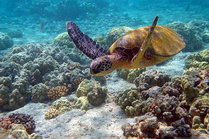Nature Day, Sian Kaan Biosphere Tour! Round Transportation from Tulum City - Birds, downtime, and why the photos are actually scheduled