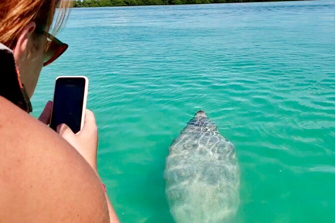 Nature Day, Sian Kaan Biosphere Tour! Round Transportation from Tulum City - Lunch and included drinks: choosing chicken, beef, or fish