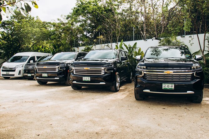 One Way Private Transfer Tulum Zone - Cancun Int Airport - Key Things to Know Before You Go