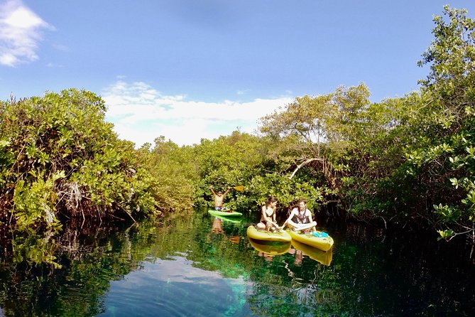 Paddleboard Cenote Tour - Casa Cenote Time: SUP + Snorkeling in Clear Water