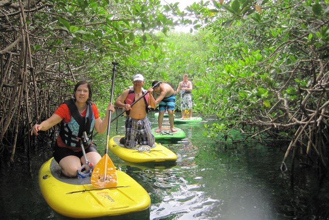 Paddleboard Cenote Tour - What the 3 to 4 Hours Feels Like in Real Life
