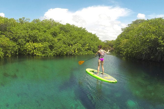 Paddleboard Cenote Tour - Admission Included: Why That Small Detail Adds Value