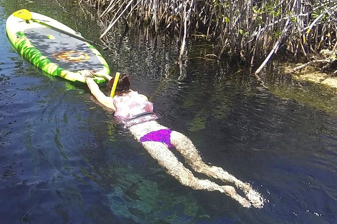 Paddleboard Cenote Tour - Beginner-Friendly Coaching From a Certified Guide