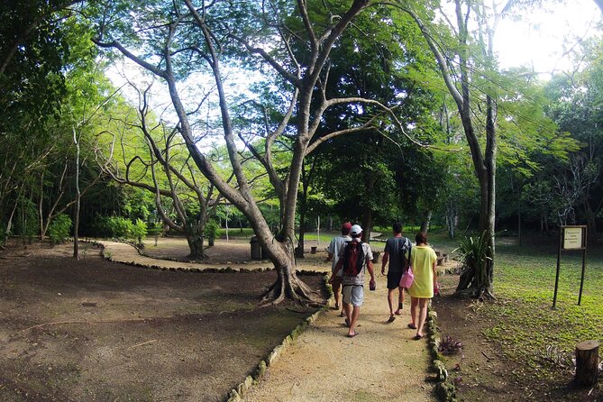 Private Birdwatching Tour in Sian Ka'an Muyil - Stop 1 in Muyil village: birdwatching with local life all around