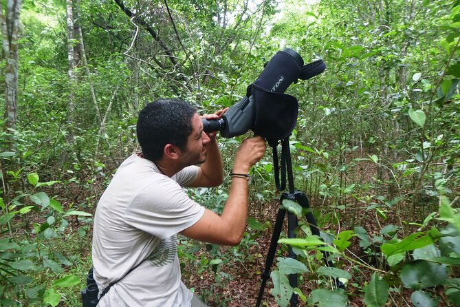 Private Birdwatching Tour in Sian Ka'an Muyil - Optional Sian Ka’an add-on: lagoons, wetland birds, and mangrove tunnel time