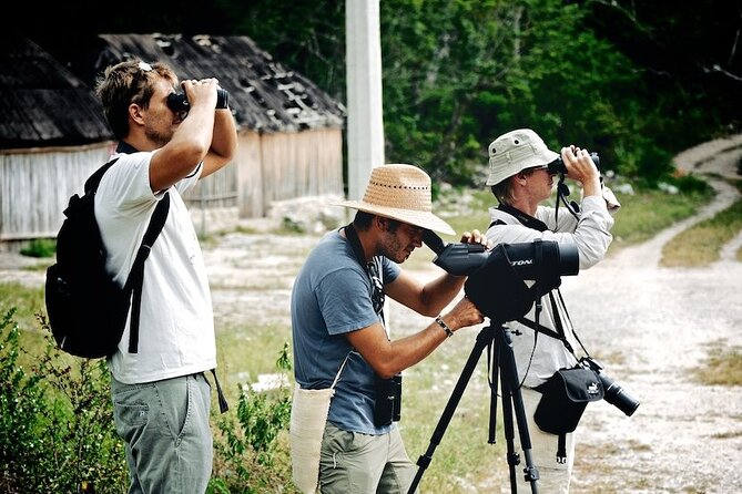 Private Birdwatching Tour in Sian Ka'an Muyil - The day’s flow: Muyil village walk, Muyil ruins, then Sian Ka’an (optional)