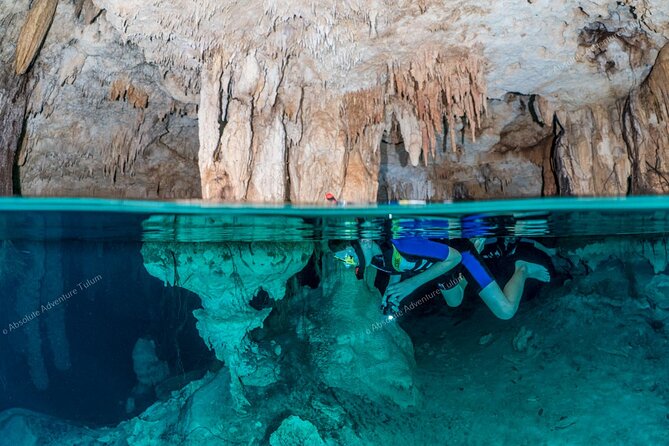 Private Cenote Snorkeling Tour – Tulum’s Hidden Gems - How This Private Cenote Route Really Saves Your Day