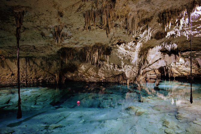 Private Cenote & Snorkeling Tour with Turtles in Akumal - Guides that keep you safe and make the day feel easy