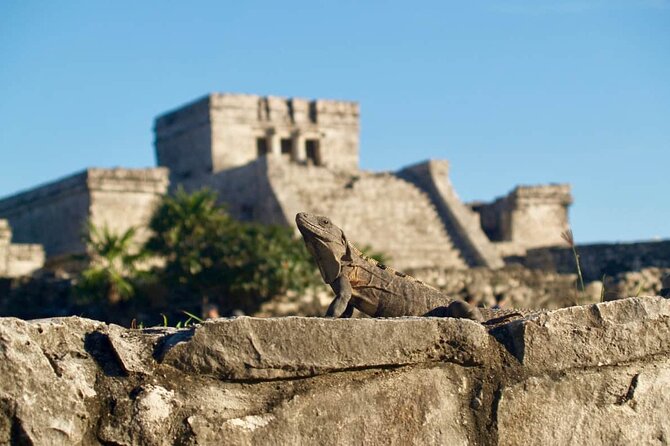 Private Half Day Tour to Tulum Temples and Downtown Shopping - What kind of traveler this suits best