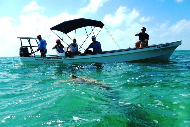Private tour - Sian Ka´an Adventure - Private Sian Ka’an from Tulum: what the $619 really covers
