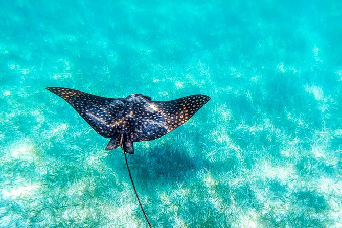 Private tour - Sian Ka´an Adventure - First on land: the Sian Ka’an Biosphere Reserve orientation