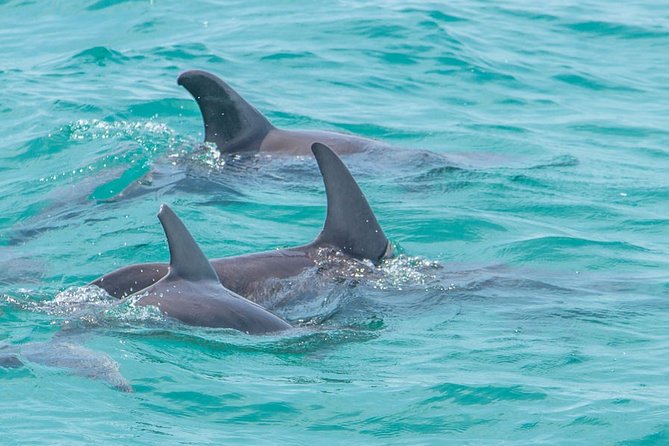 Private tour - Sian Ka´an Adventure - Guides can make or break the day: the human side of Sian Ka’an