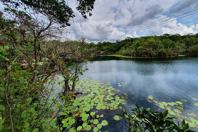 Private - Tulum Ruins and 3 Cenotes Jungle Adventure - Private Guide Energy: When the Day Feels Personal