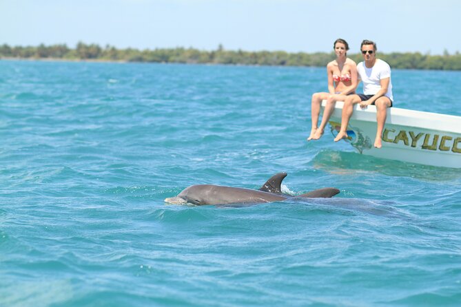 Sian Ka'an Adventure Full Day Trip to Punta Allen - Key highlights you’ll feel on the day