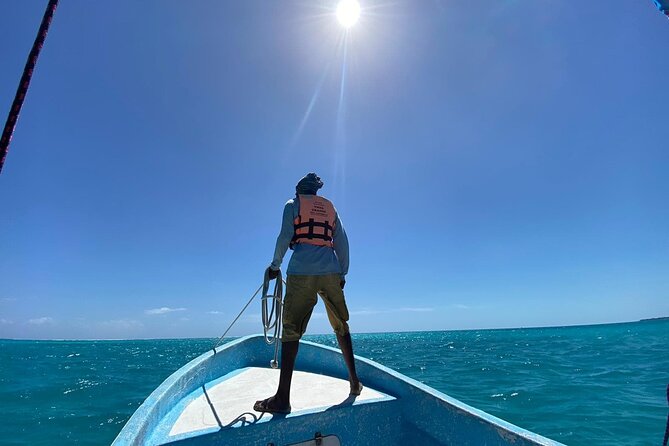 Sian Ka'an Adventure Full Day Trip to Punta Allen - Ascension Bay bird colonies and the wildlife-spotting rhythm