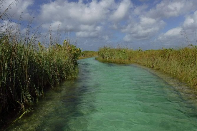 Sian Ka'an Adventure (Private, Full Day) - Private Value: What $254 Buys You in Real Terms