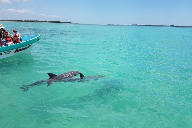 Sian Ka'an Biosphere Full Day Boat Tour with Lunch - Snorkeling for 45 minutes: clear water and a pristine ecosystem feel