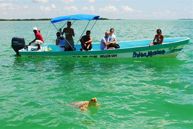 Sian Ka'an Biosphere Full Day Boat Tour with Lunch - Lunch buffet: a real meal in a pretty spot