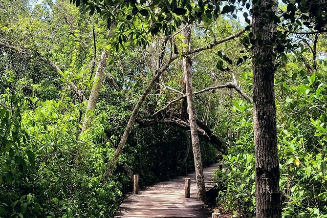 Sian Ka'an Biosphere Reserve Guided Tour - Pickup From Tulum: How the Morning Flows