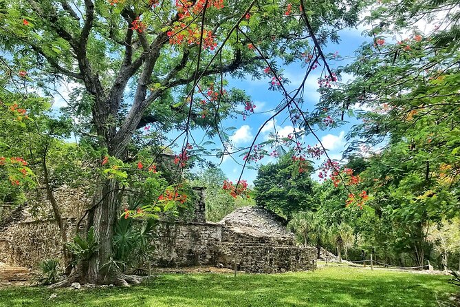 Sian Ka'an Biosphere Reserve Guided Tour - Price and Value: Is $250 Fair for This Route?