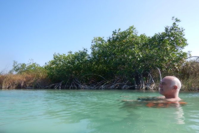 Sian Kaan Muyil Floating Canals - Wildlife Moments: Birds You Can Spot Without a Telescope